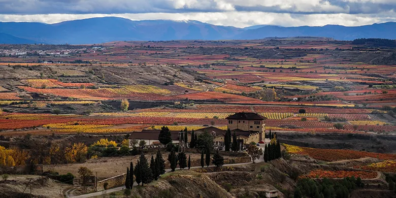 top_spain